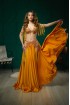 Professional bellydance costume (Classic 396A_1)